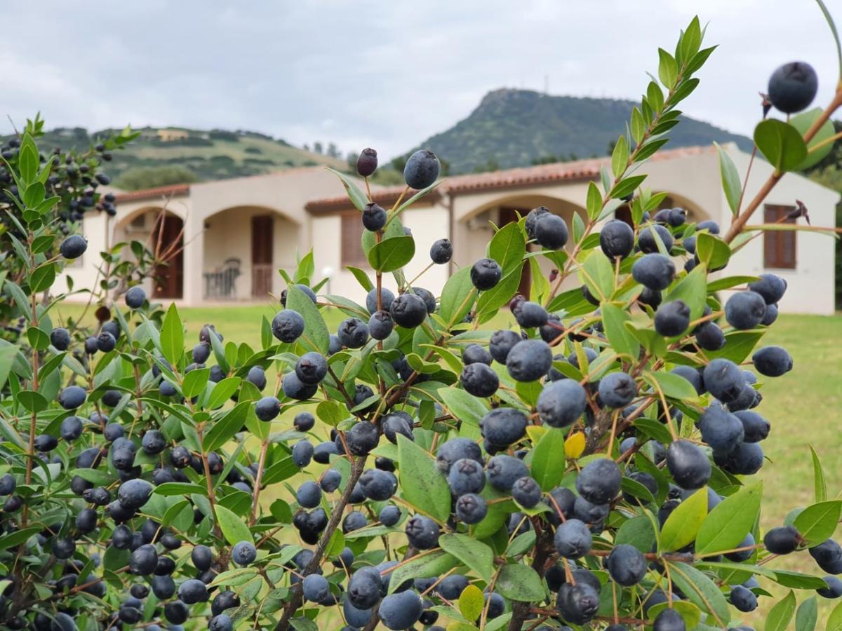 La Casa Di Spinosella Apartman Valledoria Kültér fotó